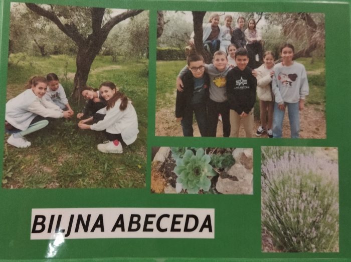 Slikovnica Biljna abeceda